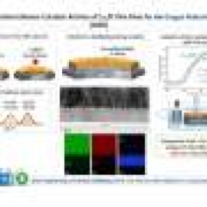 New catalyst with 75% less platinum promises to reduce the cost of hydrogen fuel cells