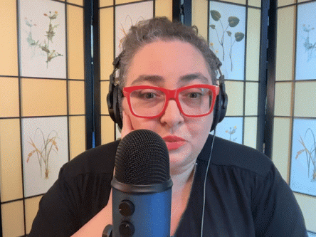 How Socialist Is the D.S.A.? Megan Romer Explains
