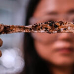 Company creates plastic from sugar to help solve microplastics problem