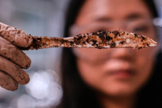 Company creates plastic from sugar to help solve microplastics problem