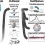 Single blood test could provide more information about cancer