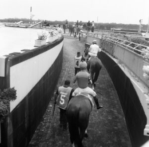 The End of the Aqueduct Racetrack