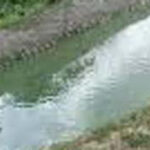 18-year-old dies after falling into pond in Kano