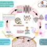 Has the next neurotechnology revolution started? Roadmap sets course for the future of the field
