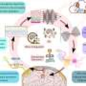 Has the next neurotechnology revolution started? Roadmap sets course for the future of the field