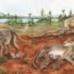 A 236-million-year-old fossil challenges the story of mammalian live birth