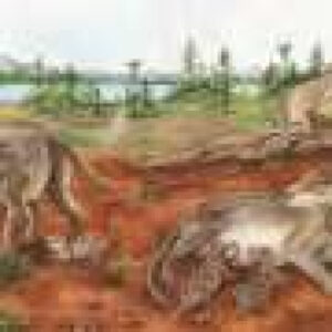 A 236-million-year-old fossil challenges the story of mammalian live birth