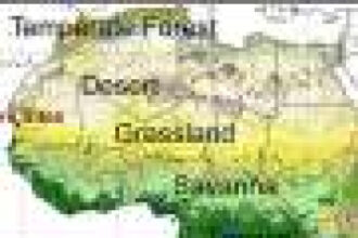 African grasslands expanded 5 million year earlier than previously thought, molecular fossils suggest