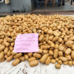 Customs seizes cannabis sativa worth N2bn in Ogun