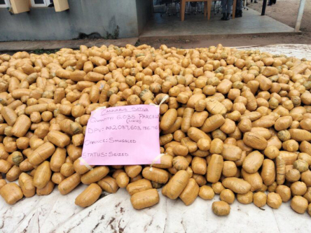 Customs seizes cannabis sativa worth N2bn in Ogun
