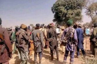 Northwest DSS directors mobilise against terrorism, banditry