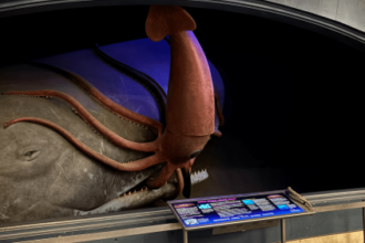 How one of the American Museum of Natural History’s most terrifying dioramas get clean