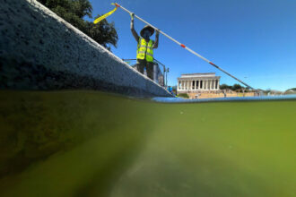 Everyone Wants to Touch the Blue Coating in the Reflecting Pool