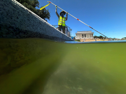 Everyone Wants to Touch the Blue Coating in the Reflecting Pool