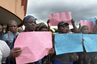 ‎Retailers groan over NAFDAC enforcement of sachet alcohol ban              