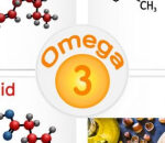 ¿Cuáles son los 3 ácidos grasos omega-3?