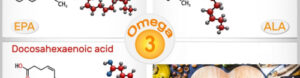 ¿Cuáles son los 3 ácidos grasos omega-3?
