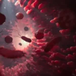 When gut microbes run low on fiber, they may start eating you