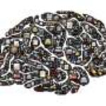 Brain activity reveals how people juggle changing goals in real time