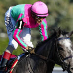 Filly Luster earns emphatic victory in $1-million King’s Plate thoroughbred race