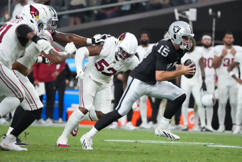 Arizona Cardinals defensive, special teams snap counts vs. Raiders