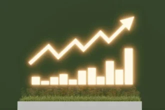 Five best-performing insurance stocks in 2026 amid recapitalization