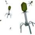 Scientists have designed a functioning virus from scratch using AI. What you need to know
