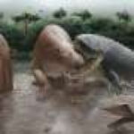 Giant crocodylians dominated the food chain in Miocene South America, fossil evidence suggests