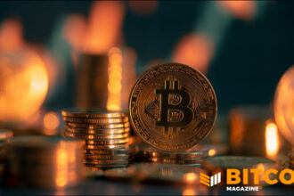 Investors Cash Out Fast of Bitcoin ETFs but Price Remains Stable
