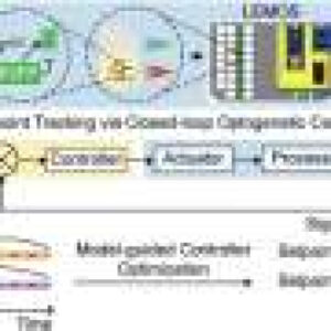 Building real-time control for engineered biological systems