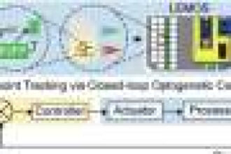 Building real-time control for engineered biological systems
