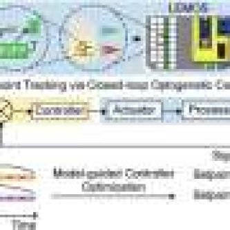 Building real-time control for engineered biological systems