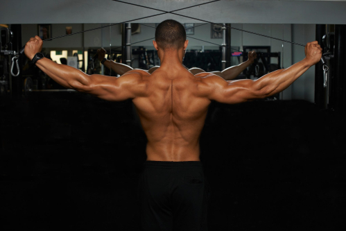 How Many Exercises You Actually Need to Do to Build Your Back
