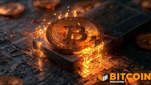 BitBox Warns Bitcoiners After Discovering ‘Severe’ Vulnerability In Firmware 