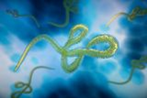 Congo's Largest Ebola Outbreak Tops 5,000 Cases as Death Toll Exceeds 2,300