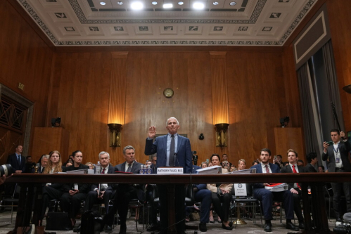 Ex-Fauci adviser pleads guilty to plotting to conceal COVID research