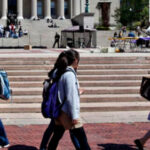 US college applications from international students fall 10% amid Trump visa crackdown: Report