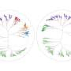 Seeing the unseen: A new tool visualizes hidden structures in complex biological data