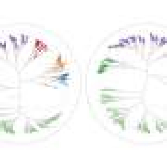 Seeing the unseen: A new tool visualizes hidden structures in complex biological data