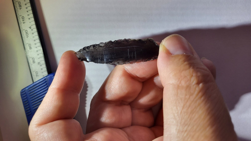 Oddly etched Neolithic arrowheads baffle archaeologists in Turkey