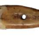 A museum-shelf mystery reveals 6,500-year-old human tooth pendant in Serbia