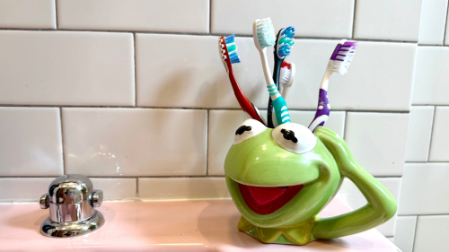 How gross is it to leave a toothbrush exposed in the bathroom?