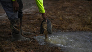 Trump ordered to release billions in climate grants meant for Black communities