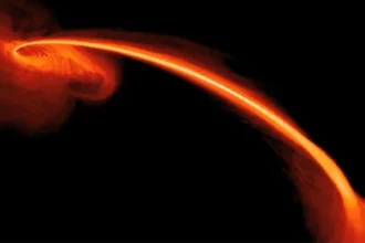 Black holes keep tearing these stars apart, but they survive