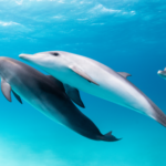 Do other animals call each other by name?