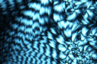 Lab-made DNA can store memory like a flash drive