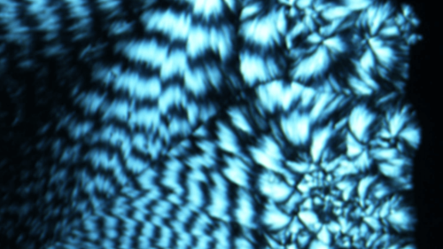 Lab-made DNA can store memory like a flash drive