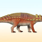 New Species of Armored Dinosaur Identified in Japan