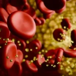 Your genes may decide whether a low-carb diet sends cholesterol soaring