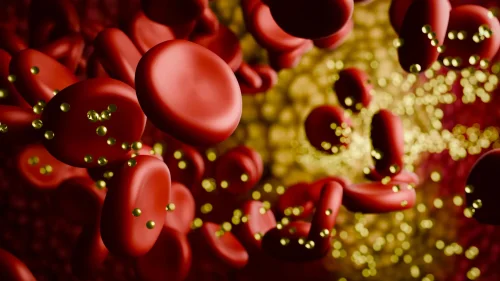 Your genes may decide whether a low-carb diet sends cholesterol soaring